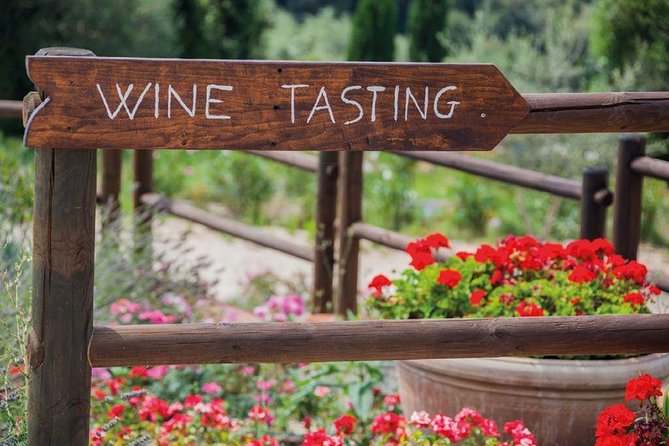 Piedmont Wine Tasting Tours Experience, Italy - Tour Overview