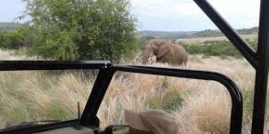 Pilanesberg : Guided Walk Trail