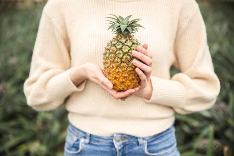 Pineapple Greenhouse Hot Tube and Pineapple Tour