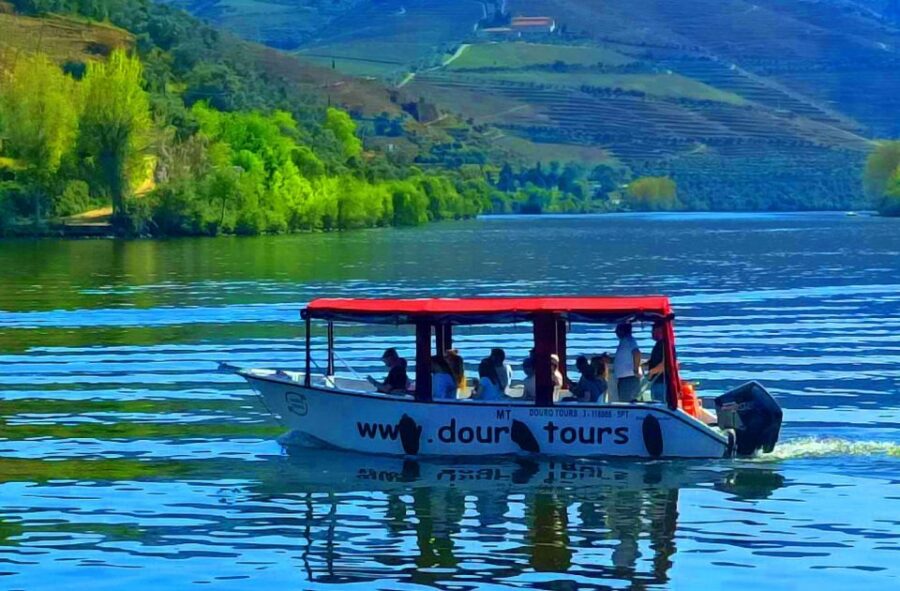 4 Best 1 Hour Tours and Experiences in Pinhao
