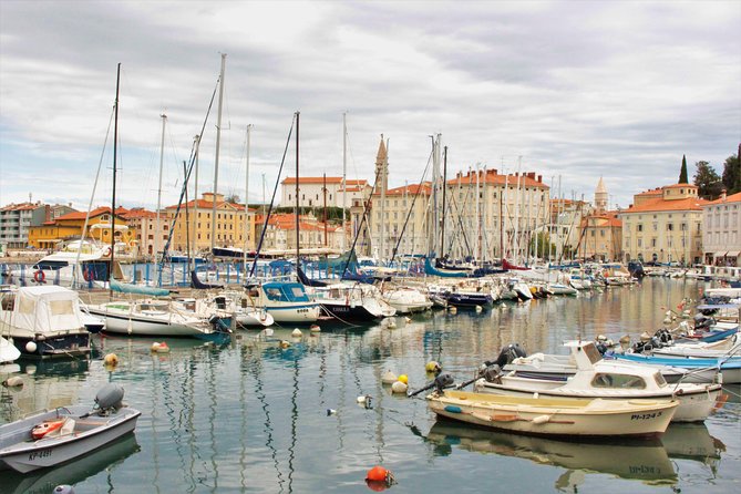Piran & Panoramic Slovenian Coast – Small Group Tour From Trieste