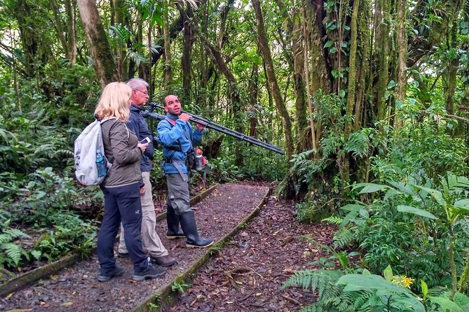 Poás Volcano & Rain Forest Day Tour