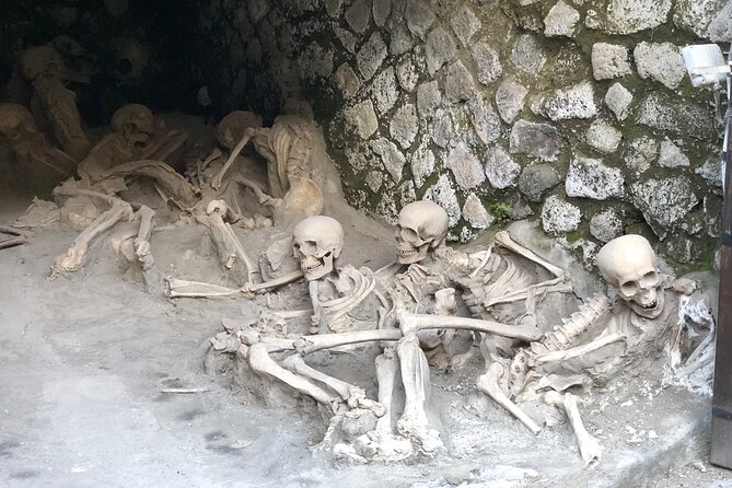 Pompeii and Herculaneum Private Tour With Pick up and Wine Tasting - Tour Overview and Highlights