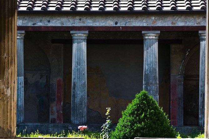 Pompeii and Herculaneum Skip-The-Line Full Day Tour With a Private & Local Guide