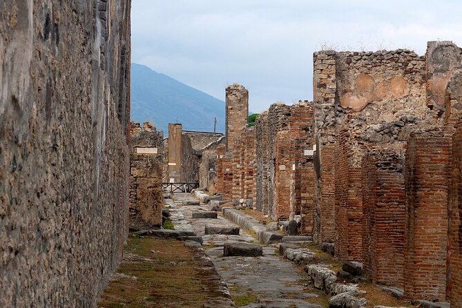 Pompeii and Paestum Day Tour From Positano