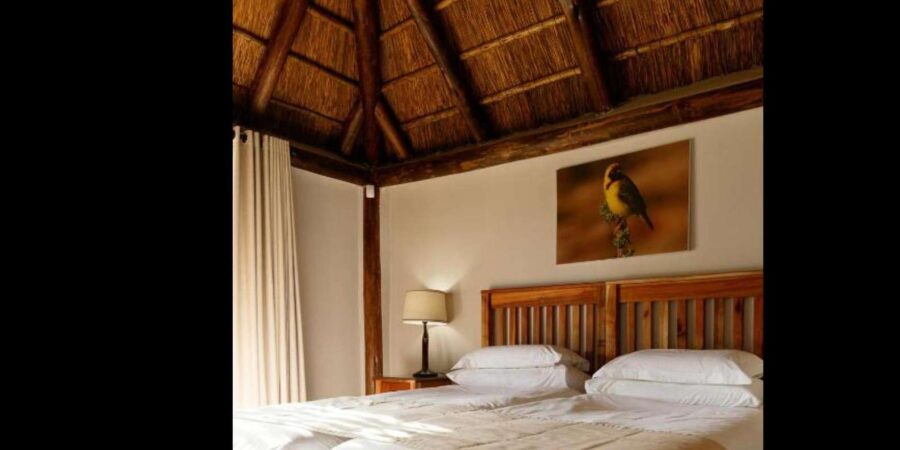 2 Best 2 Day Tours In Port Elizabeth