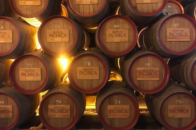 Port Wine Cellars Private Tour With Local Lunch