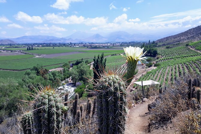 Portillo Inca Lagoon in Los Andes + Local Vineyard Tour