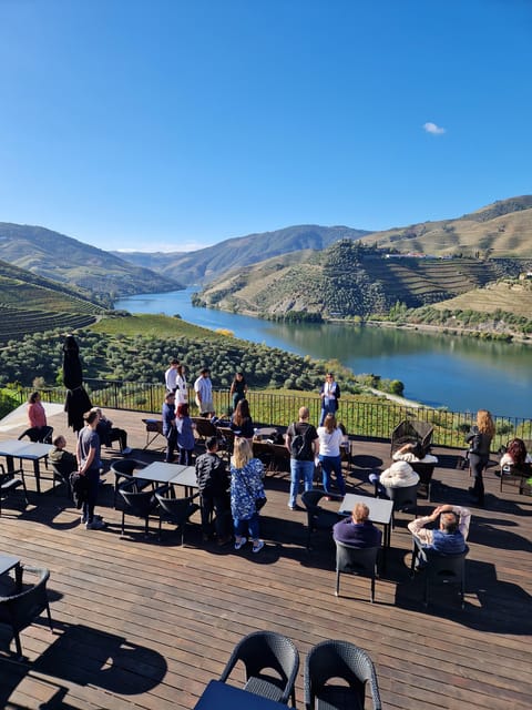 Porto: Douro Valley Tour With Winery Tasting, Cruise & Lunch