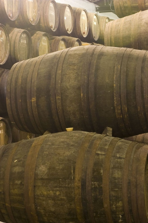 Porto: Port Wine Tour With 7 Port Tastings