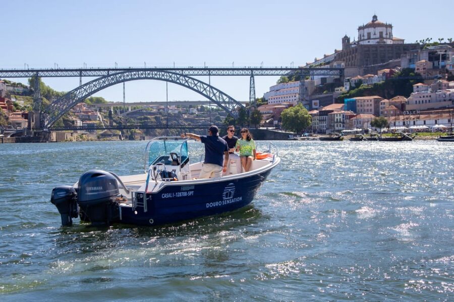 Porto: Private Douro River Cruise With a Local Skipper