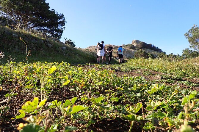 Porto Santo – Ana Ferreira Hiking Tour