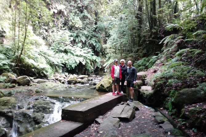 PR18 Levada Do Rei Private Transfer - Inclusions