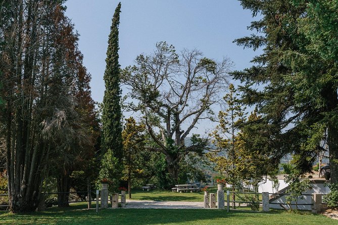 Premium Private Douro & Vinho Verde Tour: Wine Tastings & Lunch