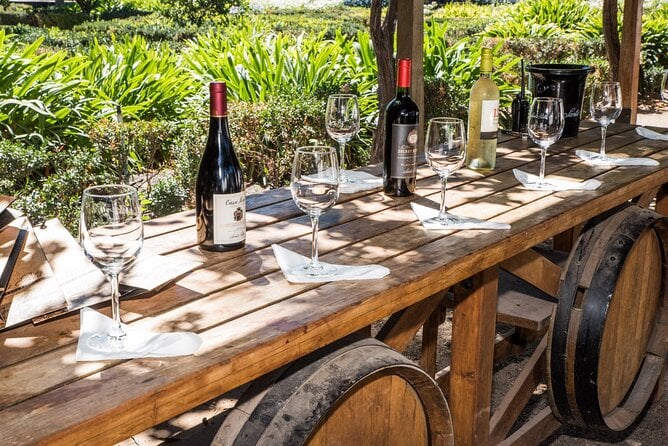 Premium Wine Tasting and Tour at Santa Rita + Private Transport - Tour Overview