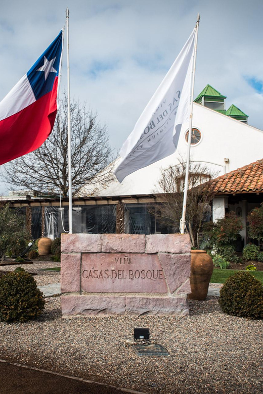 Premium Wine Tasting at Casas Del Bosque + Private Transport - Activity Overview