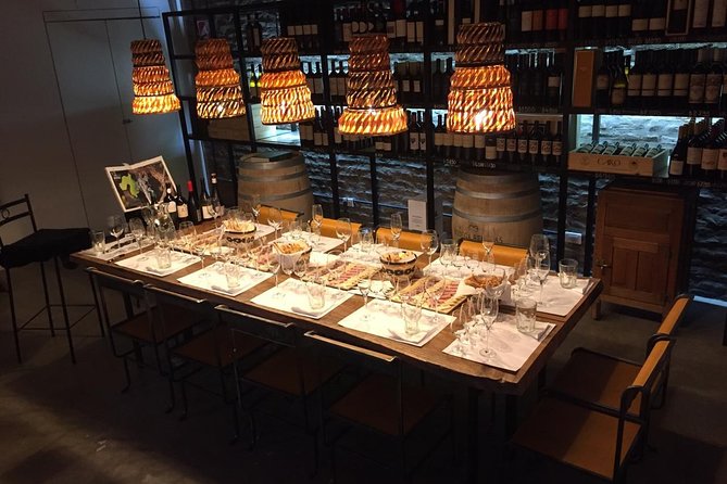 Premium Wine Tasting in Buenos Aires - Overview of the Experience