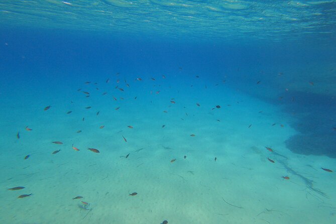 Private 1-Hour Guided Snorkeling Adventure With Go Pro Pictures - Duration and Location