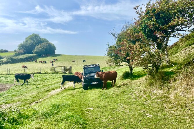 2 Best Safari Tours In Weymouth