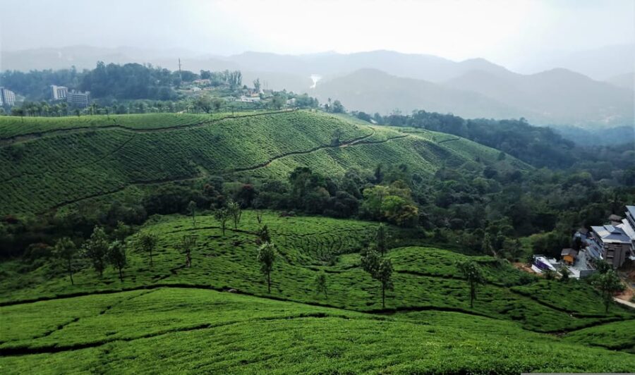 Private 5-Days Kerala Tour With Sightseeing Tickets
