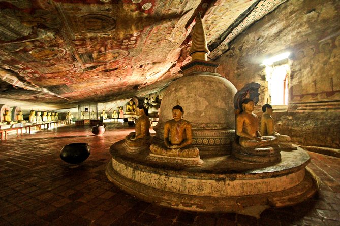 Private 8-Day Tour of Sri Lanka From Colombo - Tour Overview