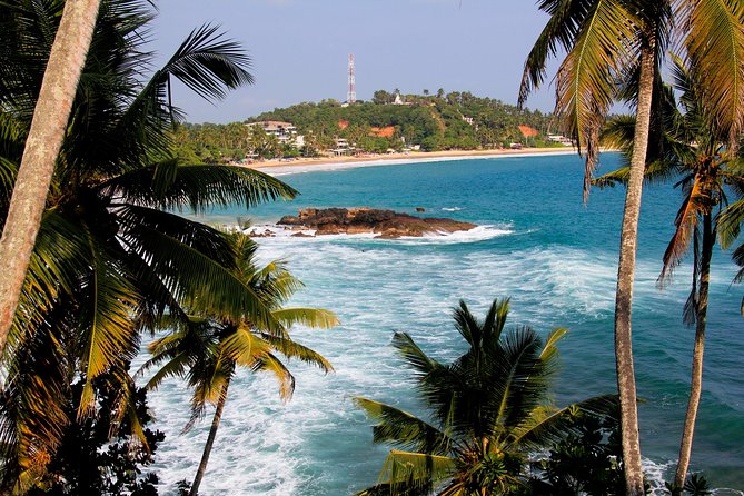 Private 8-Day Tour of Sri Lanka From Colombo