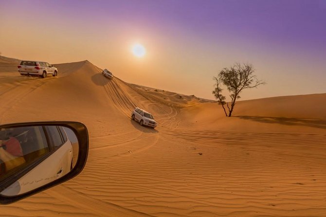 Private Abu Dhabi Desert Safari From Dubai With Hot BBQ Dinner