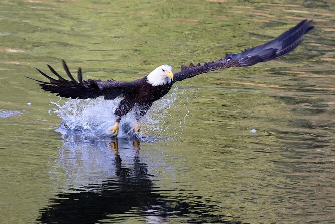 Private Alaska Native Excursion (Cultural and Scenic Experience) - Inclusions and Pricing