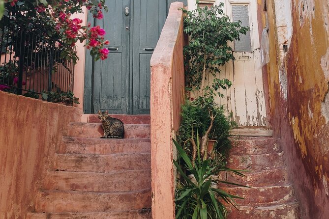 3 Best Safari Tours In Athens
