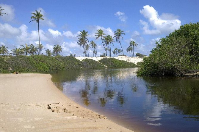 Private Beach Buggy Tour – Praia Do Forte by Emytour