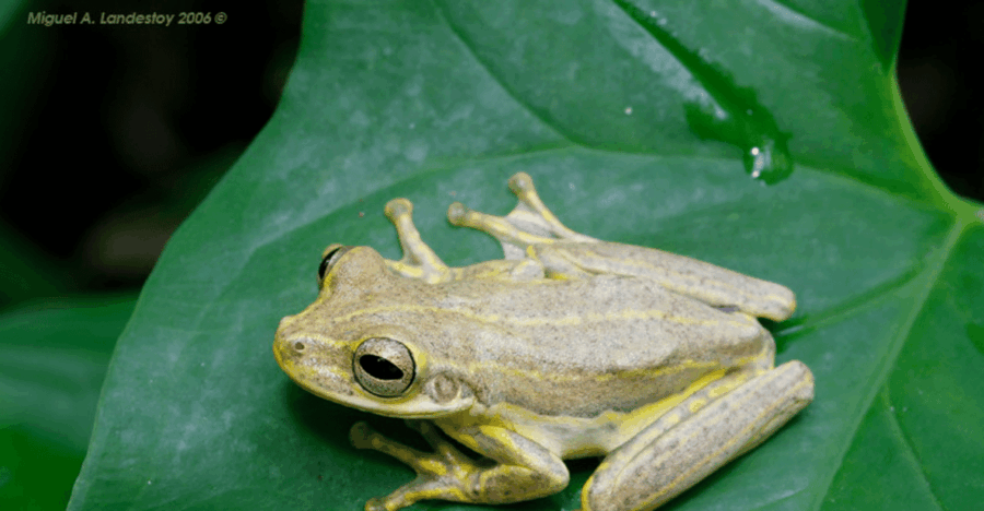 Private Boat Tour & Rain Forest Hike Los Haitises
