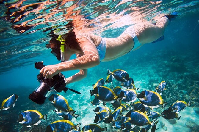 Private Boat Trip From Hurghada Makadi Sahl Hashesh Soma Bay Safaga Al Gouna