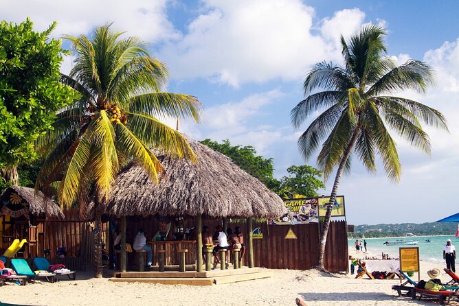 Private Catamaran Cruise Tour in Negril Beach and Ricks Cafe - Tour Overview