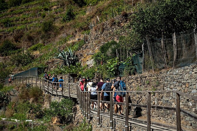 Private Cinque Terre Tour​ From Florence With Optional Hiking