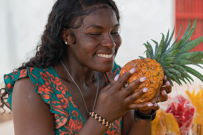 Private Citytour in the Colonial Cartagena to Shore Excursions