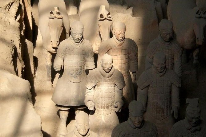 Private Customized Day Tour of Xian Terracotta Warriors and Horses Museum With Sightseeing Option - Inclusions and Amenities