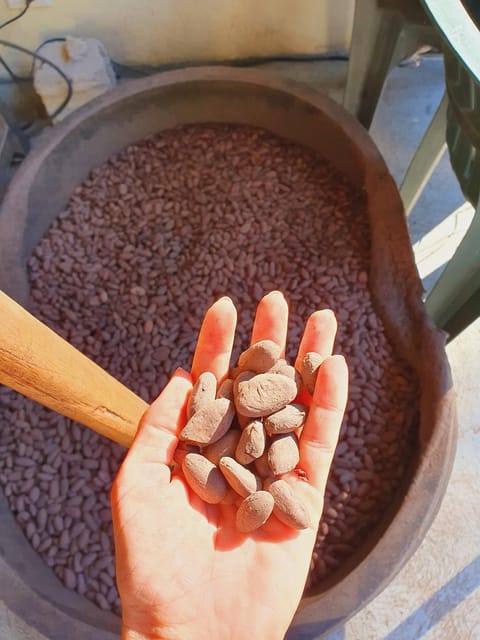 5 Best Coffee Tours And Tastings In Dominican Republic