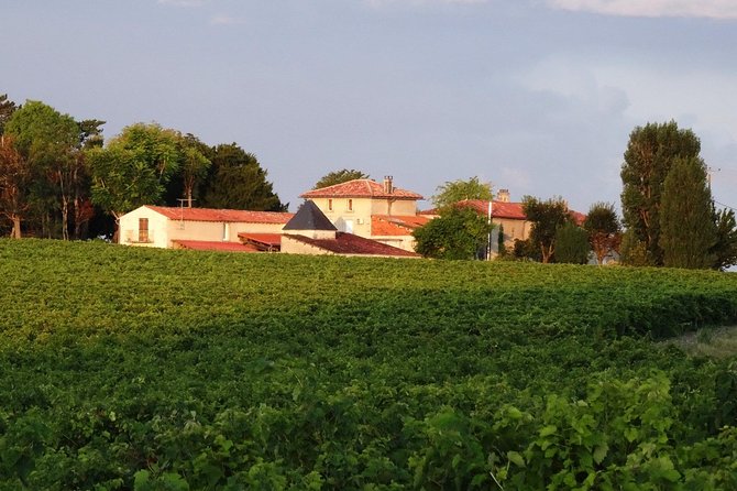 Private Day-Tour From Angouleme: Facets of Cognac : Vine to Glass - Highlights of the Tour