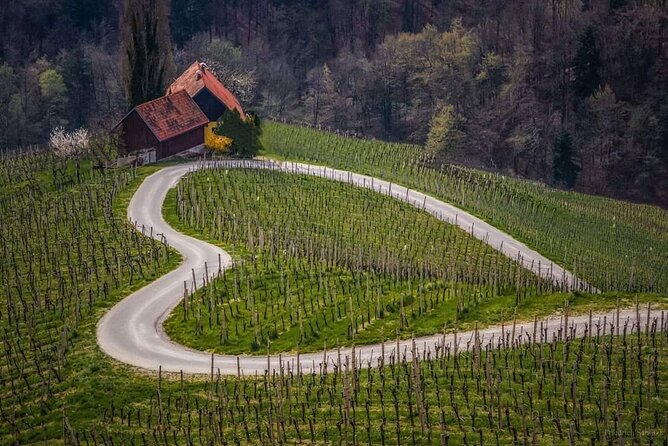 Private Day Tour to Ljubljana From the Slovenian Coast. - Tour Highlights