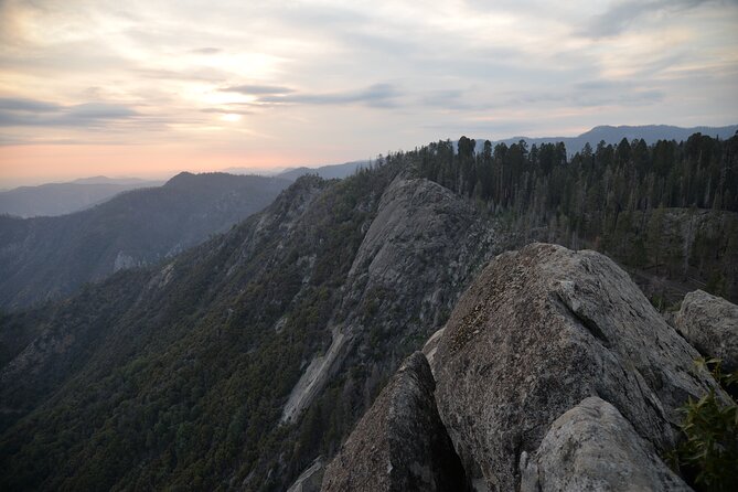 Private Day Tour to Sequoia and Kings Canyon Parks From LA