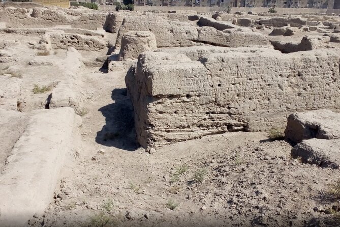 Private Day Tour to Tanis Bubastis Cairo