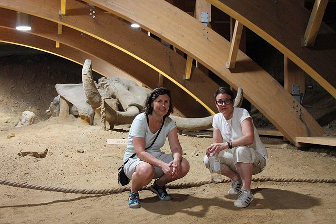 Private Day Tour to Viminacium and Smederevo Fortress