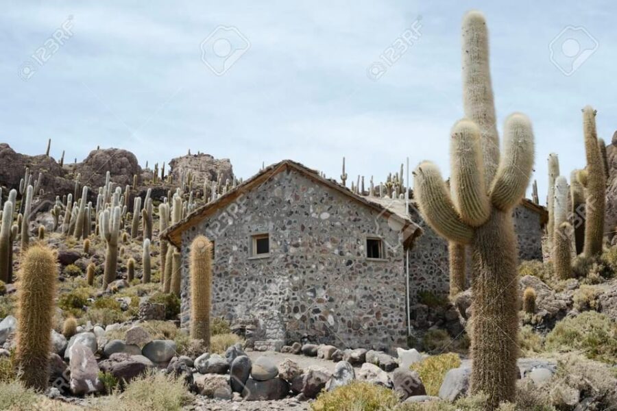 Private Day Trip to Salar De Uyuni