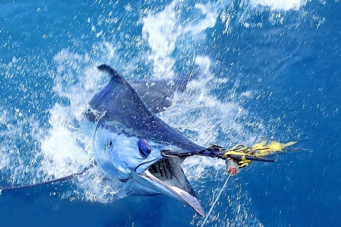 Private Deep Sea Fishing in Montego Bay - Included Amenities and Services