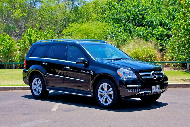 Private Departure Transfer: Big Island Hotels to Kona International Airport