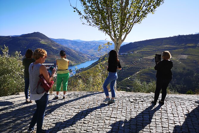 Private Douro Valley Wine Tour + Lunch and Boat Cruise - Tour Highlights
