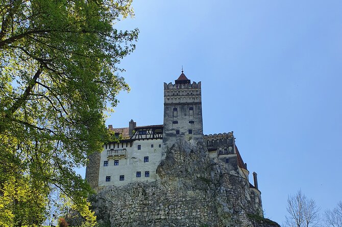 Private Draculas Castle Tour From Bucharest in 8 Hours
