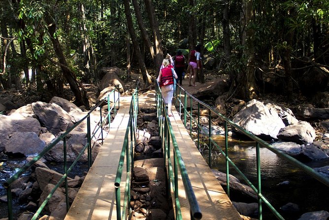 Private Dudhsagar Waterfalls & Spice Plantation With Lunch From Mormugao Port