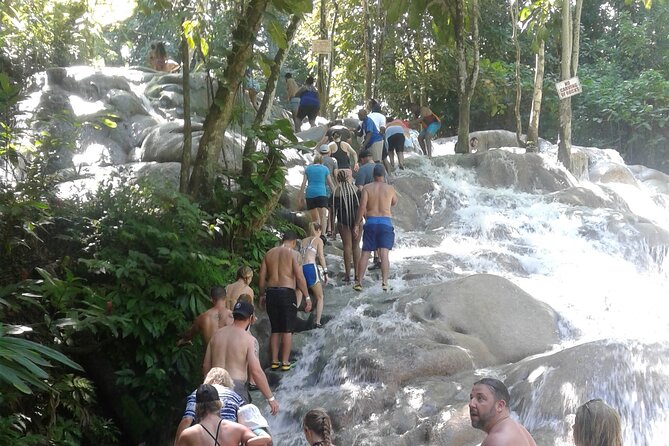 Private Dunns River Blue Hole and Tubing Tour From Montego Bay