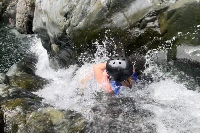 Private – El Yunque Rainforest Tour